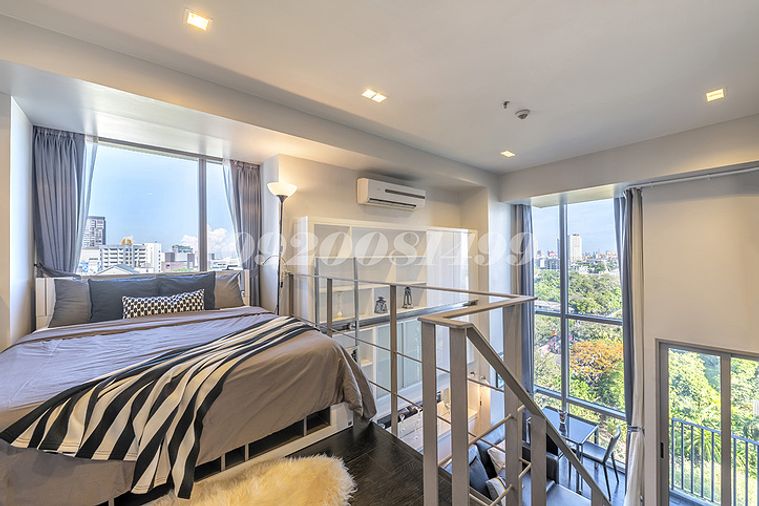 1 bedroom dog friendly apartments