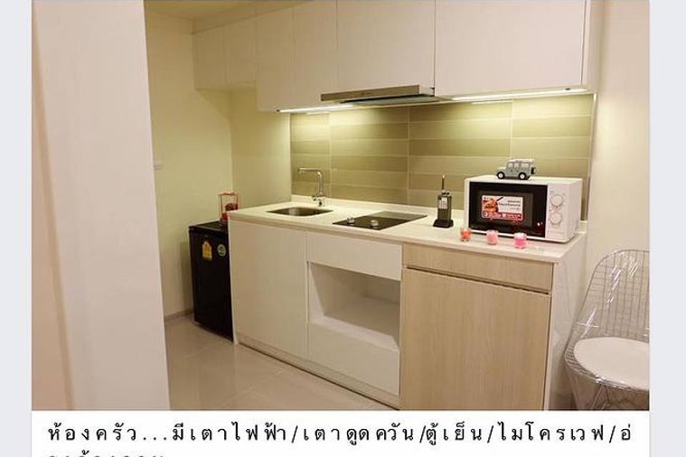 dog friendly 1 bedroom apartments for rent