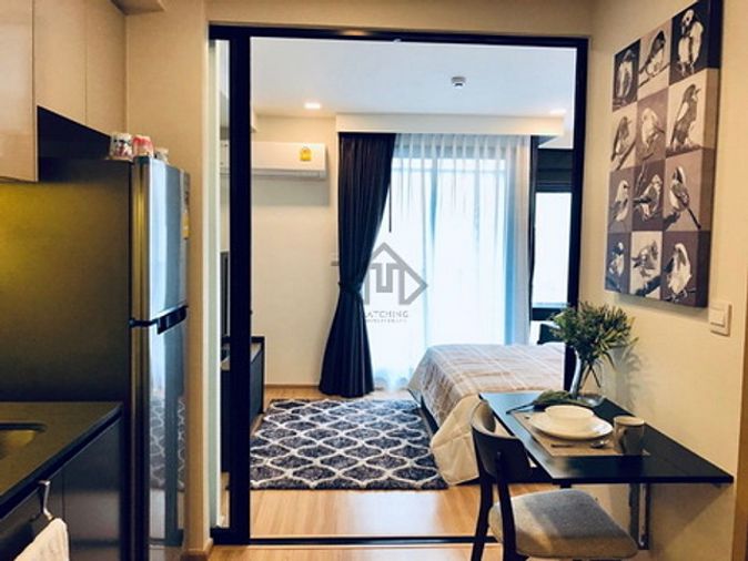 1 bedroom dog friendly apartments