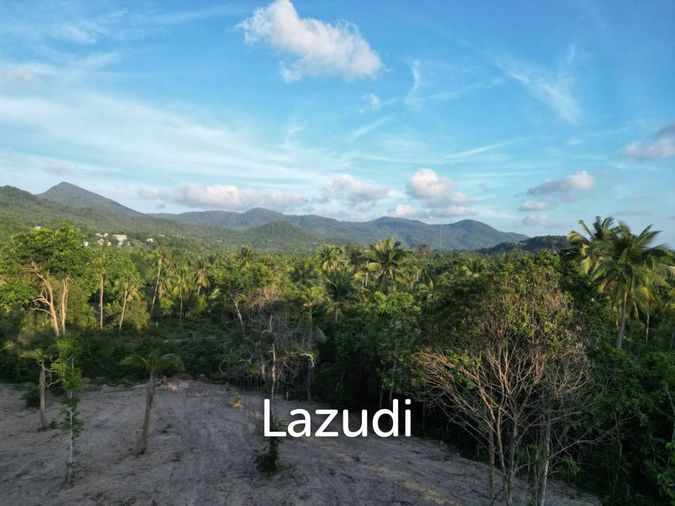 Prime Land for Sale with Building Permit in Ko Phangan – 1,000 sqm - View 3