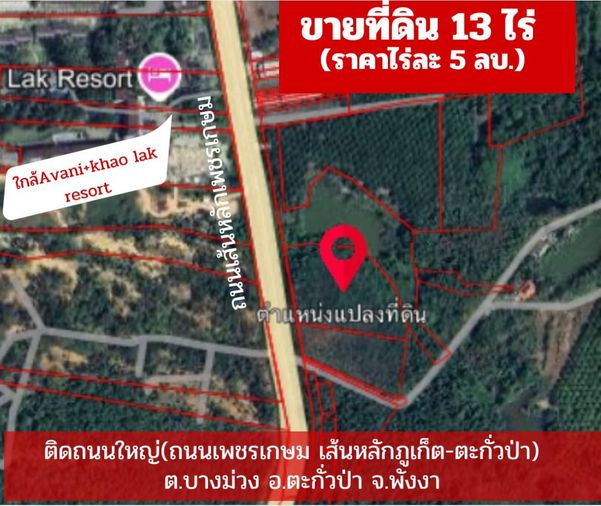 ขายที่ดินสวนยาง​พารา​ ติดถนนใหญ่​ - View 3