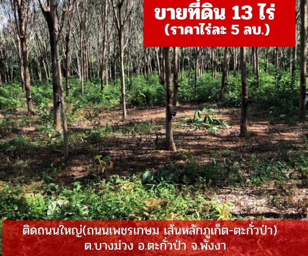 ขายที่ดินสวนยางพารา ติดถนนใหญ่