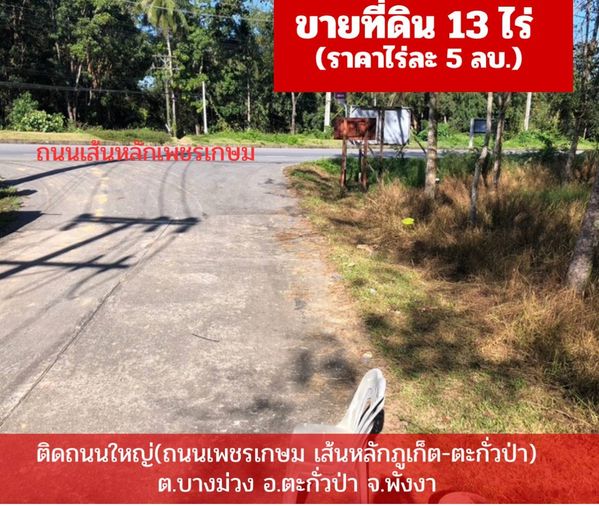 ขายที่ดินสวนยาง​พารา​ ติดถนนใหญ่​ - View 2