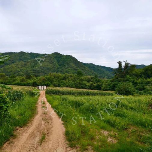🌄 ขายด่วน ที่ดินวิวเขา บรรยากาศธรรมชาติ ต.นาป่า เพชรบูรณ์ - View 5
