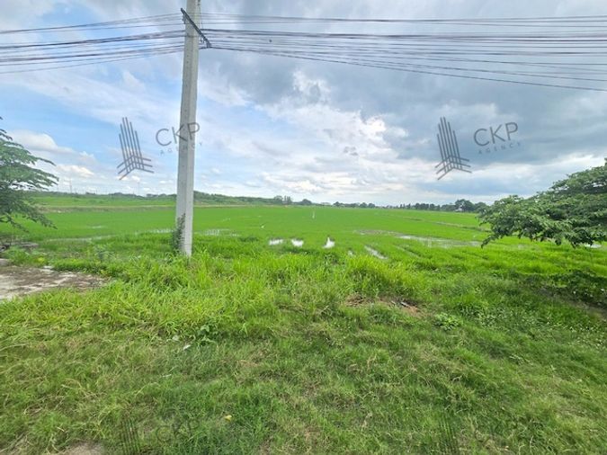 ที่ดินเปล่า 11 ไร่, 2 งาน, 6 ตร.ว. ติดถนนปทุมธานี-บางเลน หน้ากว้าง 24 เมตร ลึก 770 เมตร เป็นพื้นที่สีชมพู เหมาะเพื่อการอยู่อาศัย พาณิชยกรรม เกษตรกรรม - Daugiau